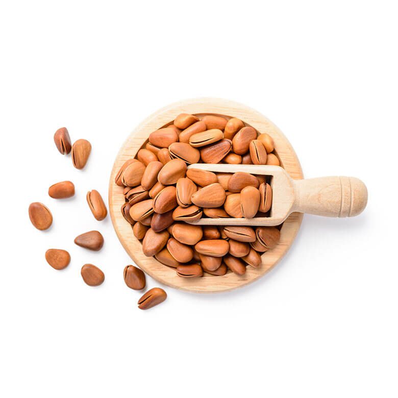 Bean